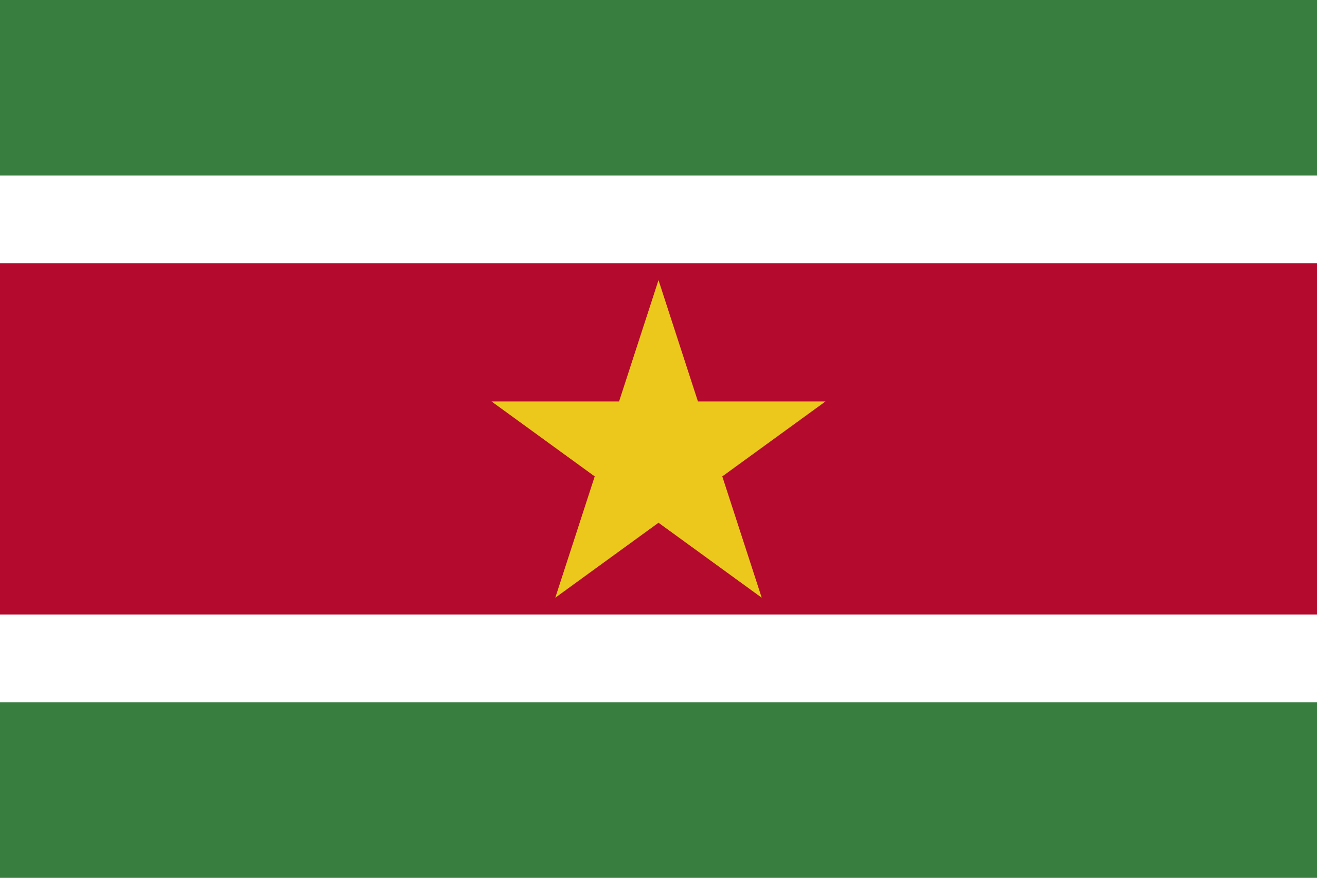 Escudo SURINAM